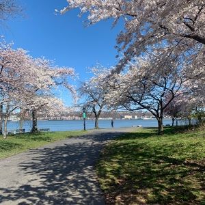 Meet your Posher, Sam